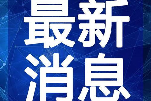 新闻爆料袭警视频大全最新,现场惊心动魄，警方严正声明