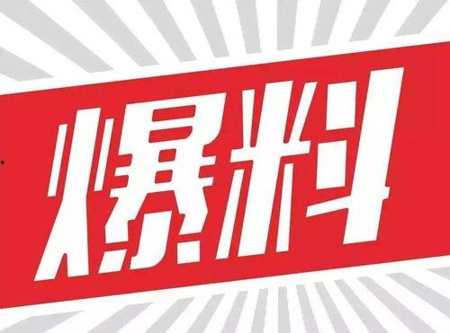 博雅爆料视频,精彩瞬间与幕后故事