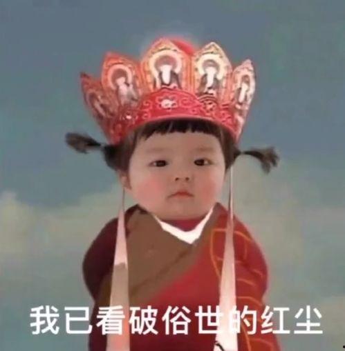 吃瓜表情包图片丸子,揭秘网络文化的魅力与影响